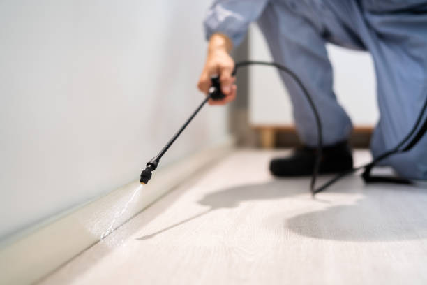 Licensed Exterminator service in Weirton, WV - Show Me Pest Control